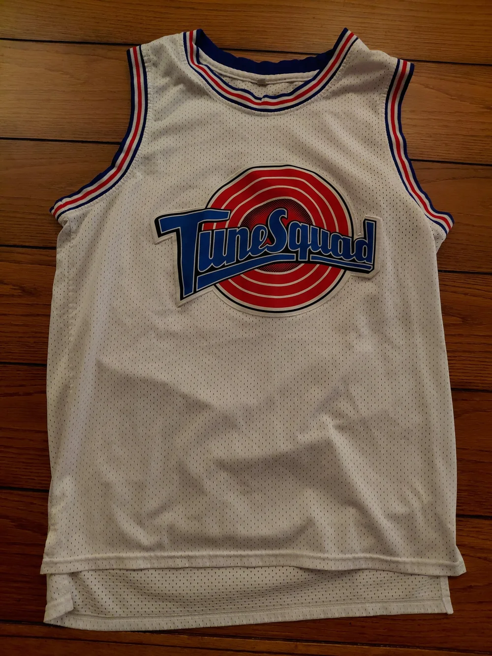 Jordan White TuneSquad Basketball Jersey with Blue and Red Trim